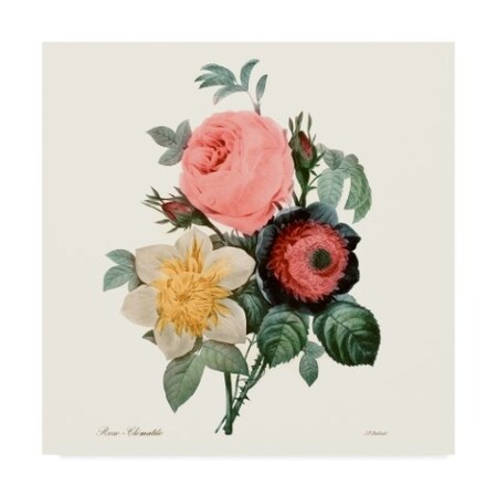 Trademark Fine Art Pierre Redoute 'Blushing Bouquet Ii' Canvas Art, 18x18 WAG05198-C1818GG